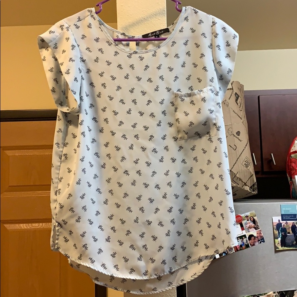 Alice Blue Top